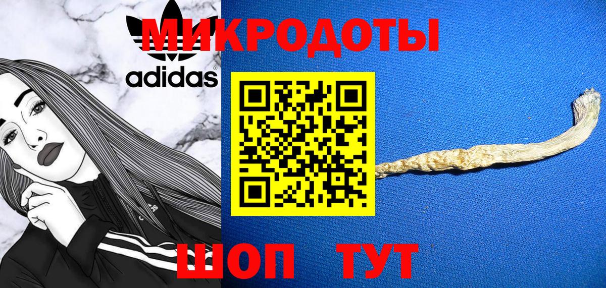 Ачхой-Мартан  Галлюциногенные грибы Cubensis  Вход с VPN 